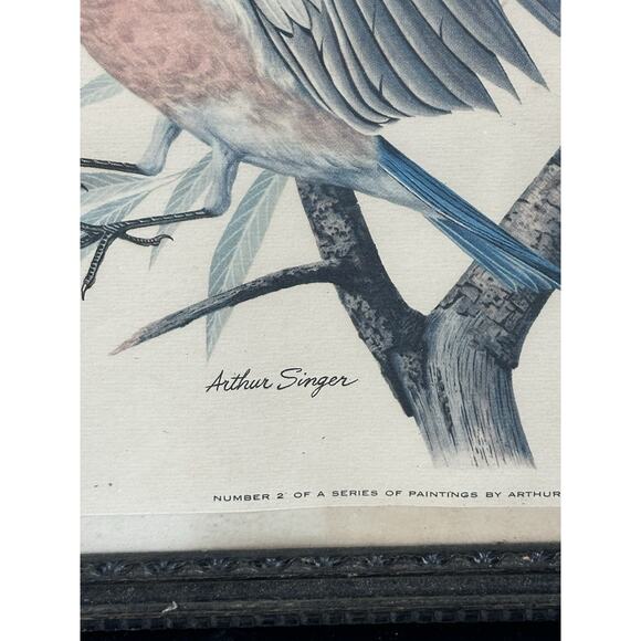 VTG 1950's Arthur Singer Framed Bird Lithograph Print signed Original Frame - Picture 2 of 10